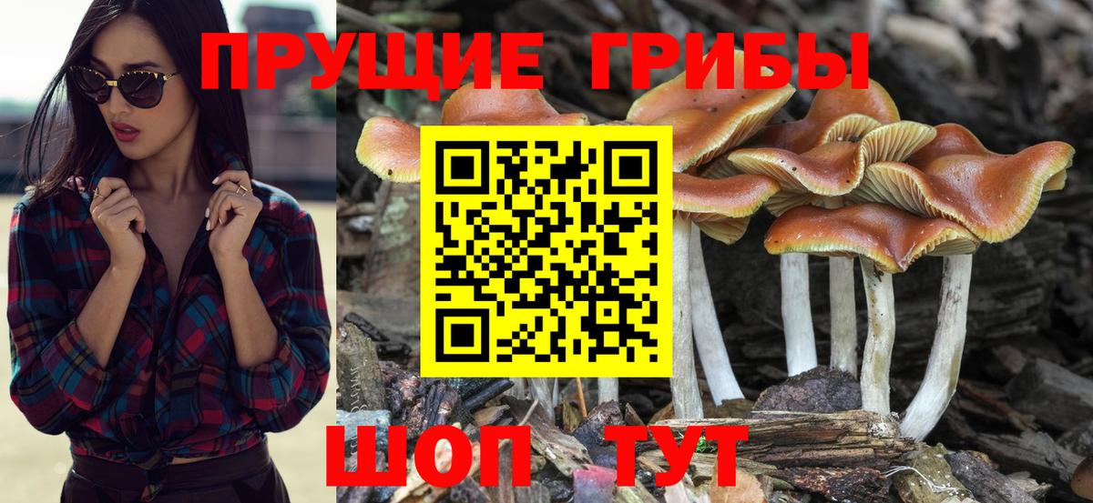 Кумертау  купить наркотики сайты  Галлюциногенные грибы Psilocybine cubensis  Вход с VPN  Псилоцибиновые грибы ЛСД 